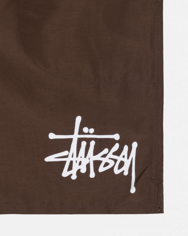 Men Stussy Big Basic Water Short Swimwear Coffee Australia | TKK-2748