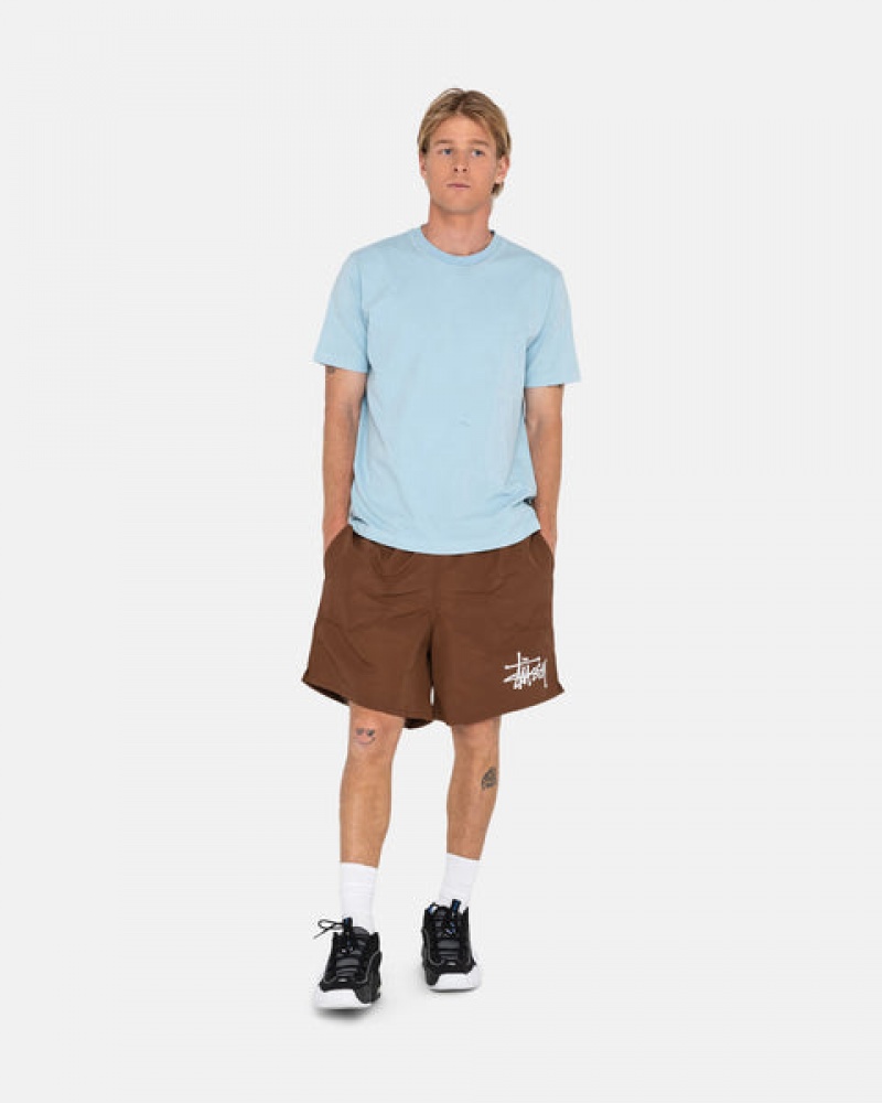 Men Stussy Big Basic Water Short Swimwear Coffee Australia | TKK-2748