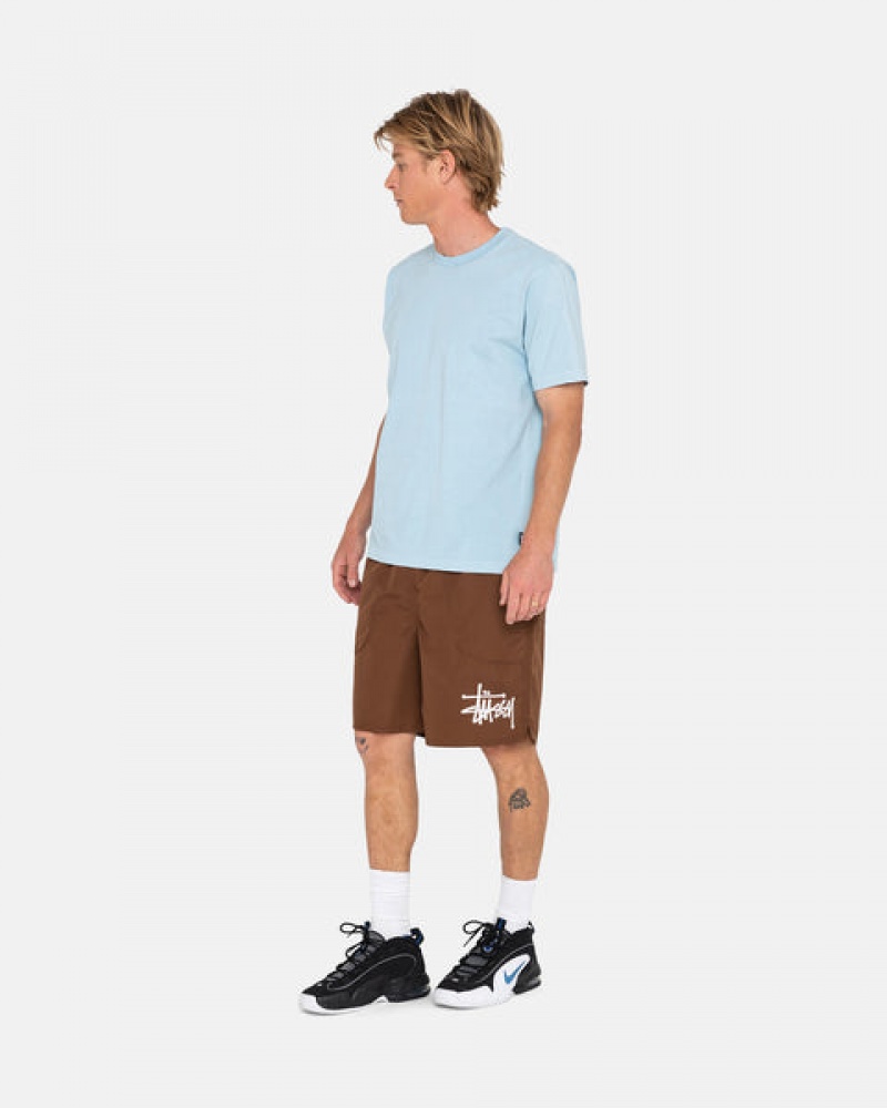 Men Stussy Big Basic Water Short Swimwear Coffee Australia | TKK-2748