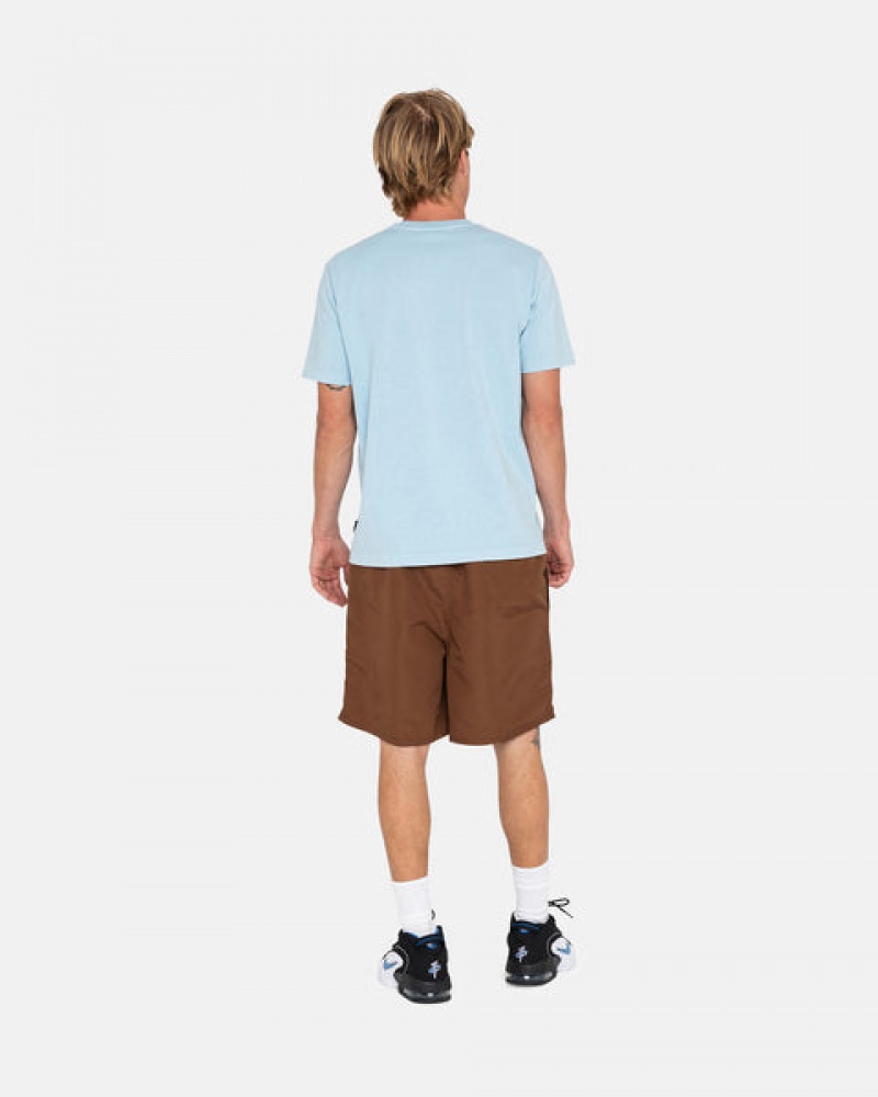 Men Stussy Big Basic Water Short Swimwear Coffee Australia | TKK-2748