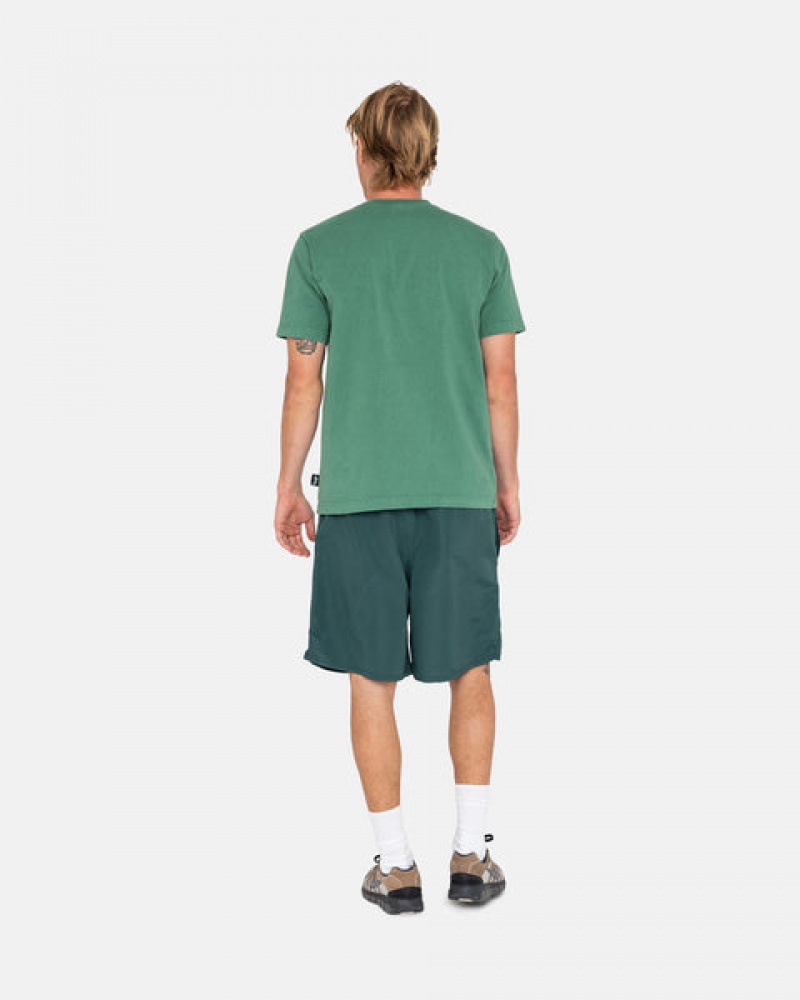 Men Stussy Big Basic Water Short Swimwear Green Australia | DXP-0870