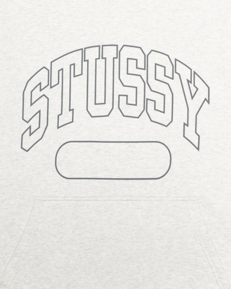 Women Stussy Ss Boxy Cropped Hoodie Grey Australia | ZKT-7917